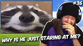 My Twitch Chat Took Over My Discord Server Youtube