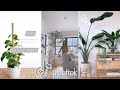 PlantTok's Tips for PLANTPARENTS on a budget | Tips and tricks included 🌿 TikTok Plant Compilation