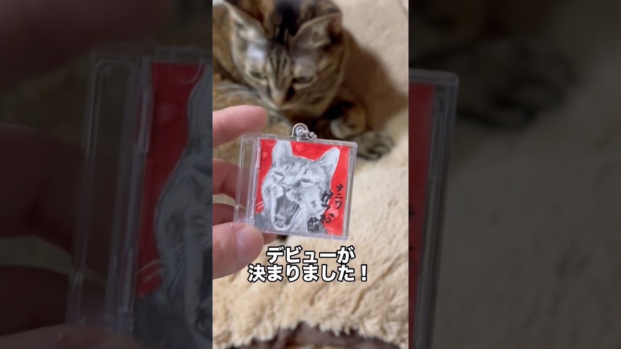 100 Yen Shop] Let's make miniature CDs of our favorite idols