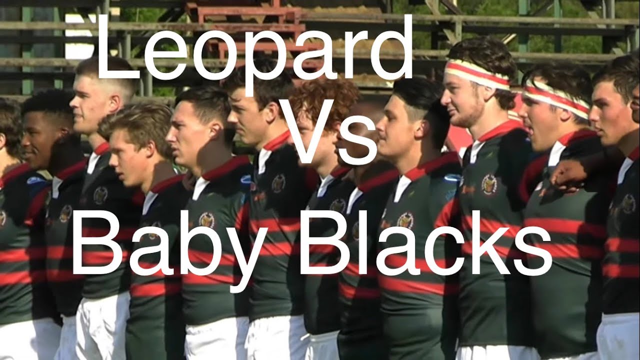 Leopards vs Baby Blacks 2022 Highlights