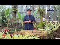 Istidraj Jebakan Nikmat Khalifah Trans7 6 Oktober 2019 Ustadz Budi Ashari Lc 