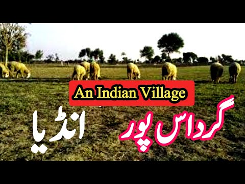 Gurdaspur || An Indian Village Of Gurdaspur || Differences Between Indian And Pakistani Villages