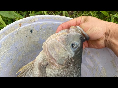 Ngôi nhà hoang dưới chân núi bà triệu