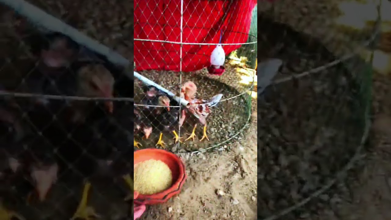 13 กุมภาพันธ์ 2569