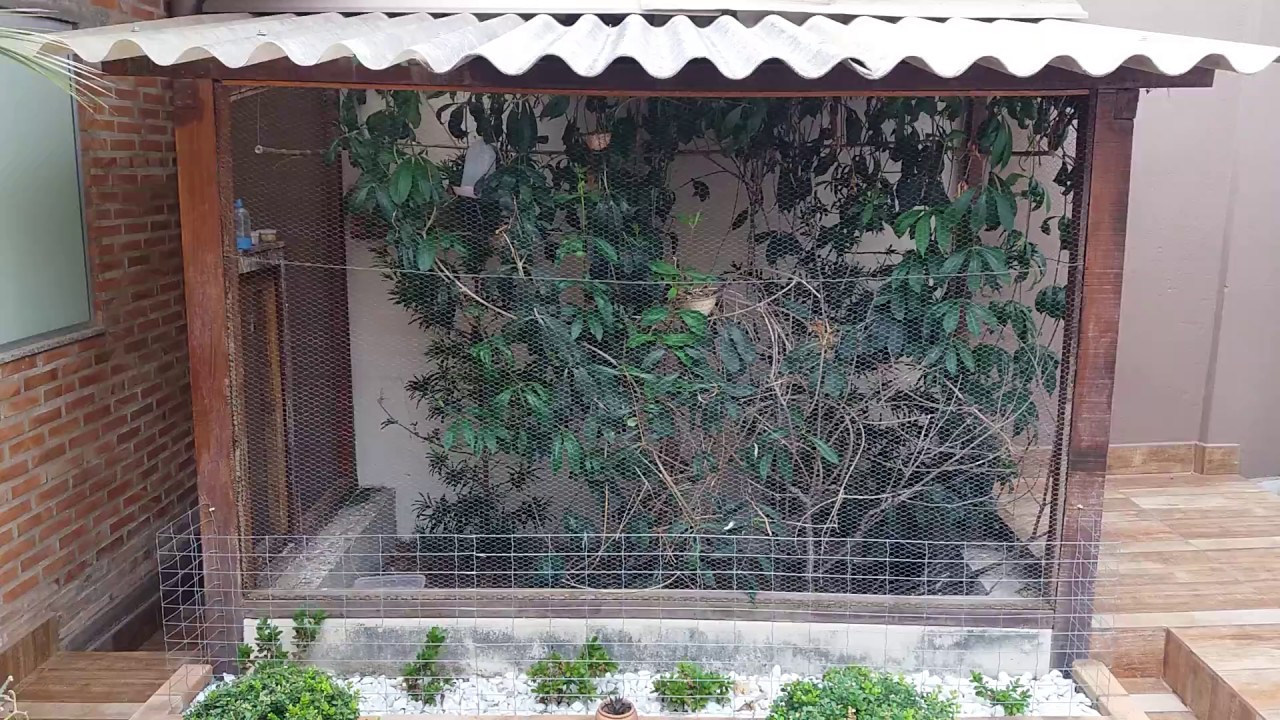 Modelo de Viveiro YouTube