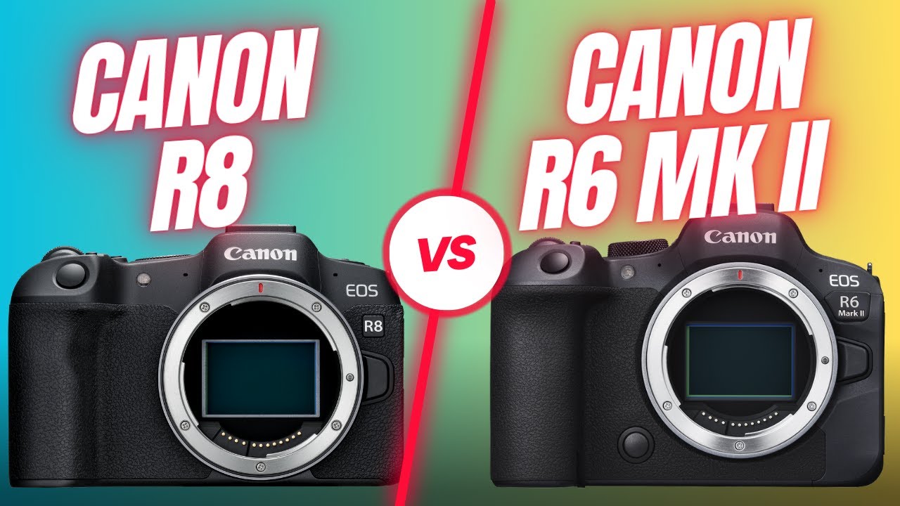 Canon 90D or R8? : r/canon