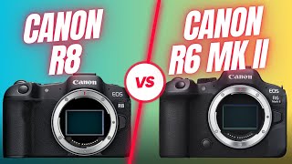 Canon R8 VS Canon R6 MK II  Which Camera Should You Buy for Bird and Wildlife Photography?