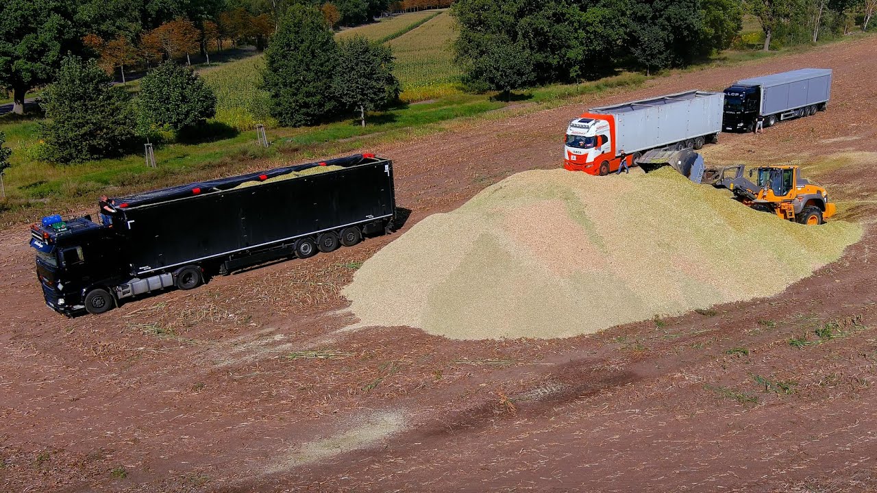 Mais 2025 : 2200 meter long field!! | Volvo L110H | Agrarlohn Müritz  | Claas Jaguar 980 | Fendt 942