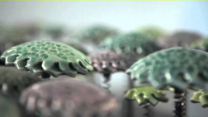 Amlie Proulx: 2013 RBC Emerging Artist Nominee