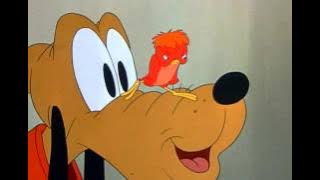 Pluto   Pluto's Fledgling