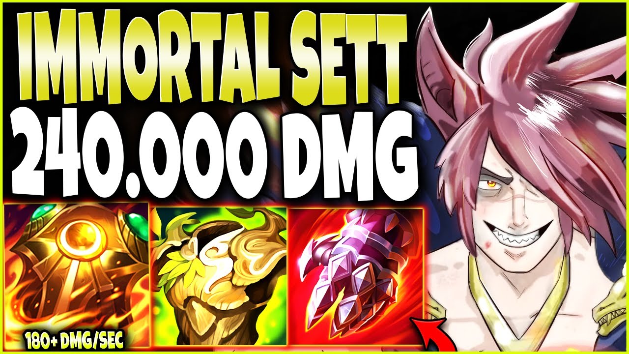 The Full IMMORTAL SETT Build did a total of 240.000 DAMAGE Reaching