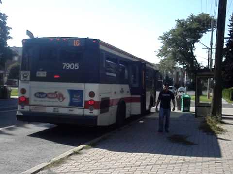 TTC 2006 Orion 07.501 VII #7905 on 16 McCowan