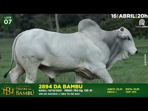 LOTE 07   AFOM 2894