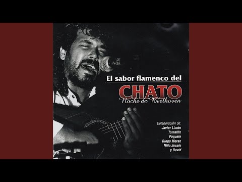 El Aroma de Tu Piel