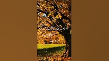 سورة الحديد الآية 16 القارئ محمد اللحيدان