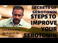 Serotonin secret  the steps for momentary and  everlasting happiness  manikandan sundaresan