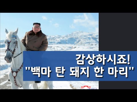 <strong>전여옥</strong>, 김정은 사진에 &amp;#39;&amp;#39;백마는 전생에 무슨 죄?&amp;#39;&amp;#39;