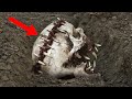 इस विडियो को देखकर चौंक जाएँगे || 9 Scariest Recent Archaeological Discoveries!