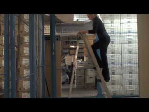 McGill Safety Ladder Video