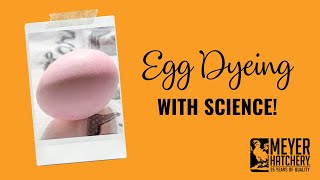 Egg Dyeing Using Science