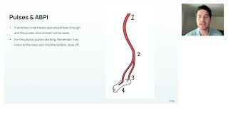 PAD Pulse Testing | Tom Jesson | Differentiating Sciatica Case Study