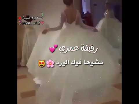 اليوم ستزف اجمل عروس