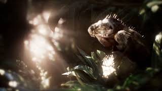 Iguana Delicatissima - 3D Photorealistic Animation - Personal Project