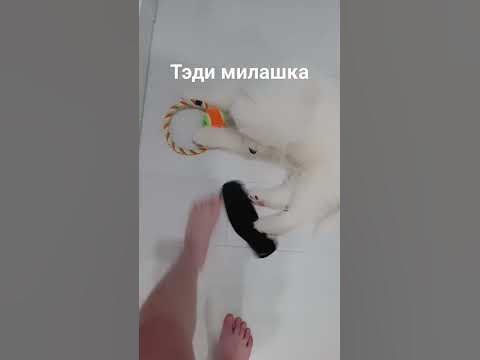 тэди # - YouTube