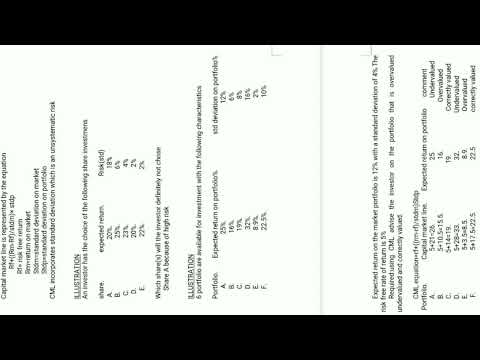CAPITAL MARKET LINE(CML)