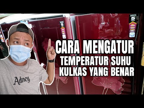 Video: Berapa suhu di lemari es: tips bermanfaat