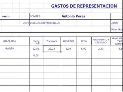 Formato de gastos mensuales