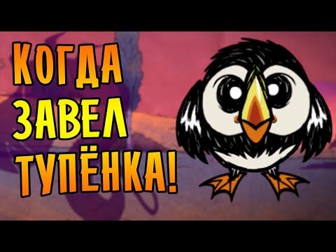 Видео: 7 ползи от орехите