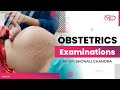 How to do Obstetric Examination? Leopold Maneuvers | Dr. Shonali Chandra