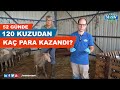 120 Kuzudan Kaç Para Kazandı | Toplama Kuzu Bakımı