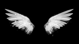 Angel Wing Black screen | Udte Pankh for Editor |Free download