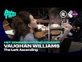 Vaughan Williams: The Lark Ascending - Liza Ferschtman & Radio Filharmonisch Orkest - Live HD