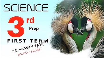 Science 3rd prep 1st term unit 2 lesson 1 convex mirror