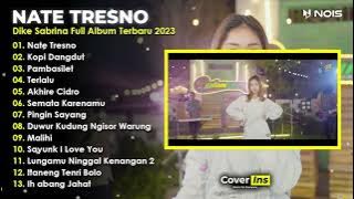Dike Sabrina  Nate Tresno  Full Album Terbaru 2023