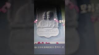 모차르트생가공개35년흘러지나간다