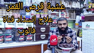 عشبة قرص القمر لعلاج إنسداد قناة فالوب وتسريع حدوت الحمل عند النساء وهدا بفضل الله مع الباحت حمودة