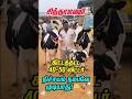 கிட்டத்தட்ட 40 முதல் 50 லிட்டர் கறவை முதல் ஈத்து சிந்தாமணி இது ஒரு இரண்டு வயது கன்று குட்டிகள் தான்
