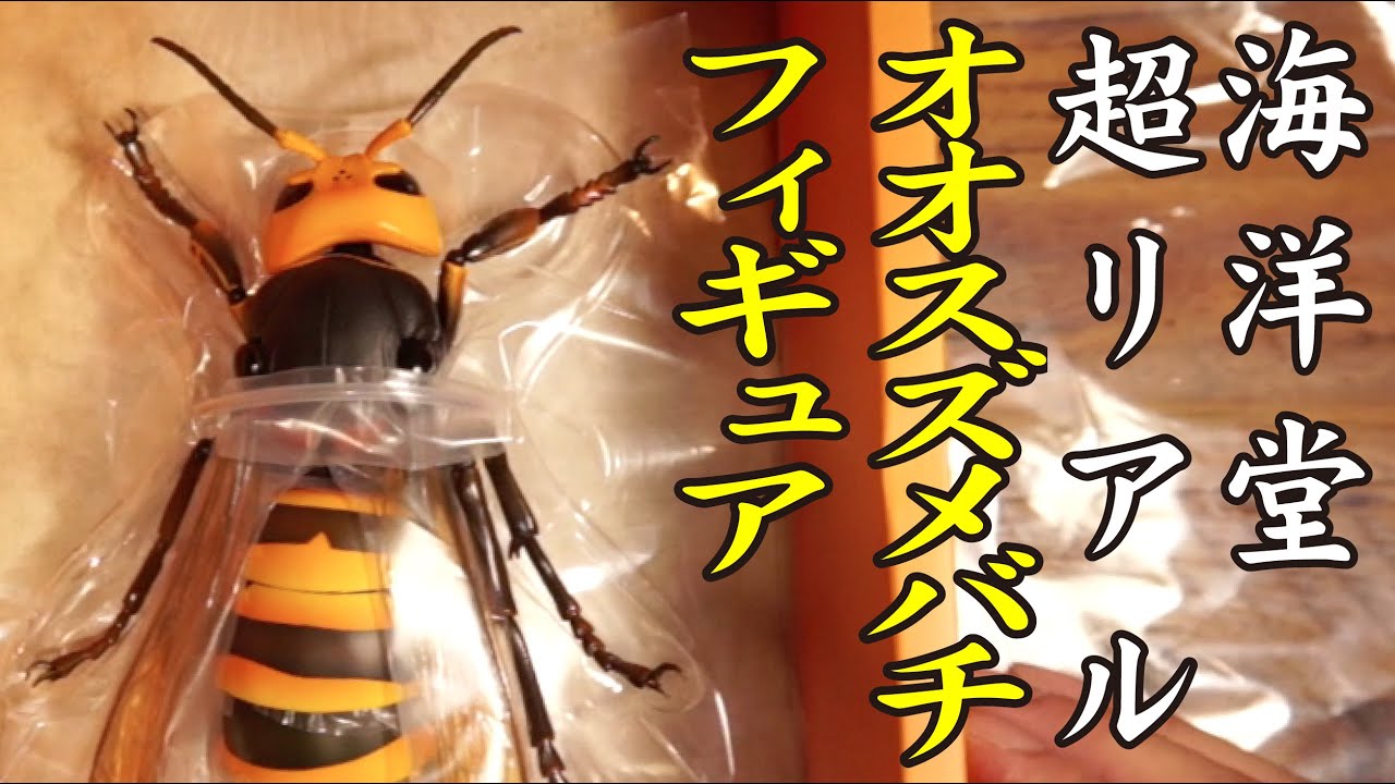 海洋堂オオスズメバチフィギュア開封動画（リボジオシリーズ） - YouTube