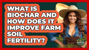 What Is Biochar And How Does It Improve Farm Soil Fertility? - The World of Agriculture