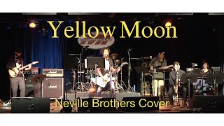 Video thumbnail of "Yellow Moon - (Neville Brothers Cover)"