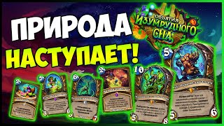 картинка: НОВЫЕ КАРТЫ ДРУИДА🍃Кенарий получил 