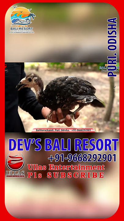 SMITA SANA | DEV'S BALI RESORT | PURI #ullas #puri #odisha
