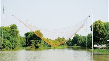 Hoang sơ thượng nguồn sông Vàm Cỏ Đông