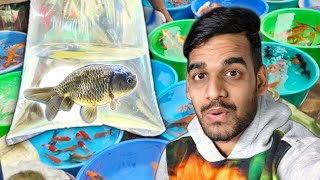 I Finally Bought All This Fish! 🐠 by AQUATIC MEDIA 40,927 views 4 months ago 5 minutes, 37 seconds