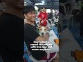 Their Animal Clinic Was FLOODING—But They Kept Going 💙