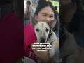 Their Animal Clinic Was FLOODING—But They Kept Going 💙